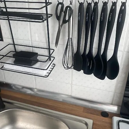 Flat With Bosphorus View In Rumelihisari