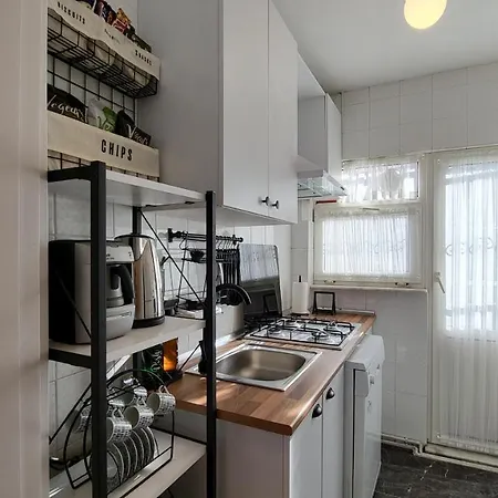 公寓 Flat With Bosphorus View In Rumelihisari *