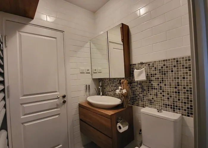 Flat With Bosphorus View In Rumelihisari Appartement